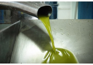 kalt extraktion Onkel Carlos Olivenöl Bio aus Spanien